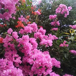  Сasa de vacaciones Mar De Flores